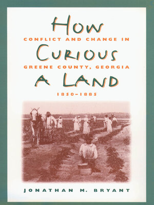 cover image of How Curious a Land